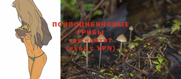 прущая мука Гусь-Хрустальный
